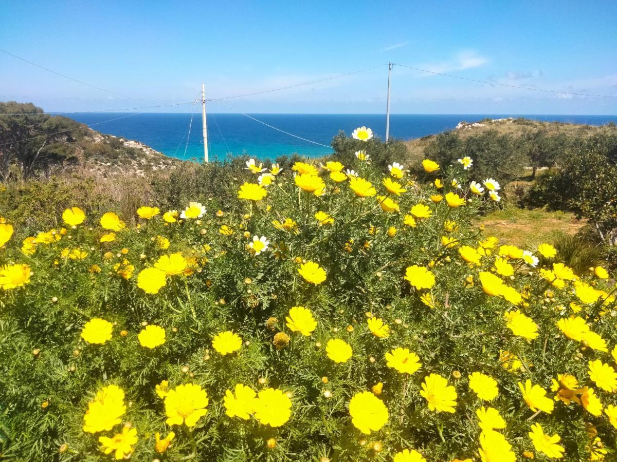 Cala Rossa Hotell Castellammare del Golfo Exteriör bild
